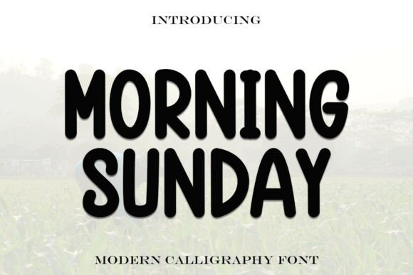 Morningsunday: The Cozy Display Font for Cheerful Branding